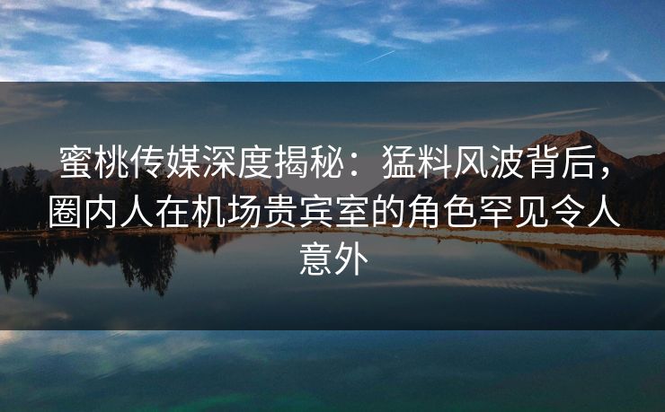 蜜桃传媒深度揭秘：猛料风波背后，圈内人在机场贵宾室的角色罕见令人意外