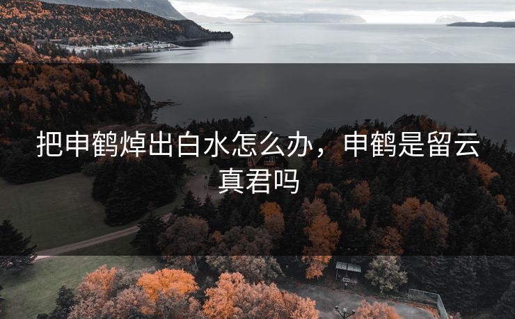 把申鹤焯出白水怎么办，申鹤是留云真君吗